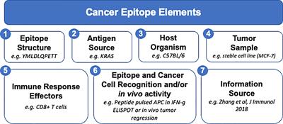 The Cancer Epitope Database and Analysis Resource: A Blueprint for the Establishment of a New Bioinformatics Resource for Use by the Cancer Immunology Community